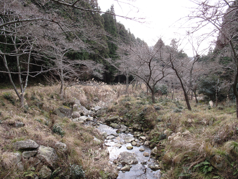 20140102hike (44)
